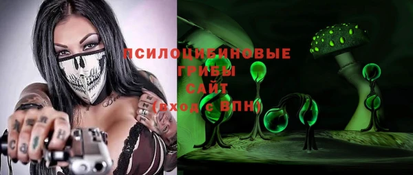 прущие грибы Алексеевка