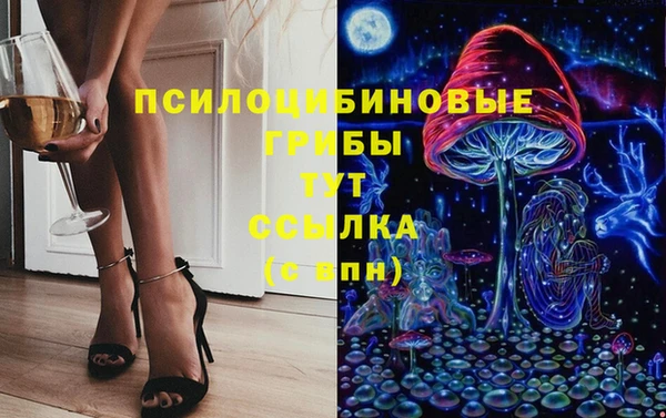 СК Абинск