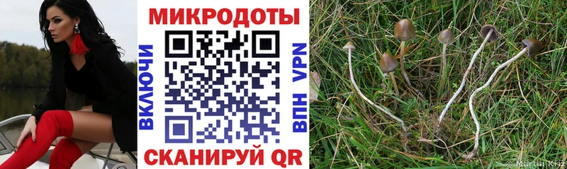 Галлюциногенные грибы MAGIC MUSHROOMS  Туринск 