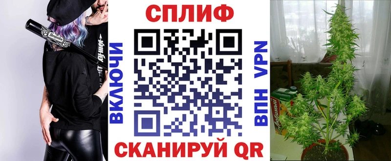 Шишки марихуана конопля Туринск